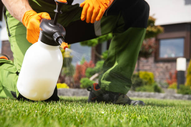 Best Pest Control Near Me  in Pelican Bay, TX