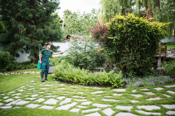 Best Affordable Pest Control Services  in Pelican Bay, TX