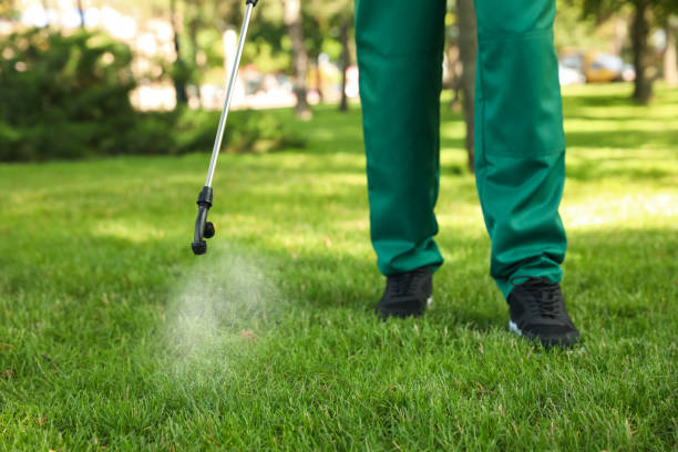 Best Rodent Control Near Me  in Pelican Bay, TX