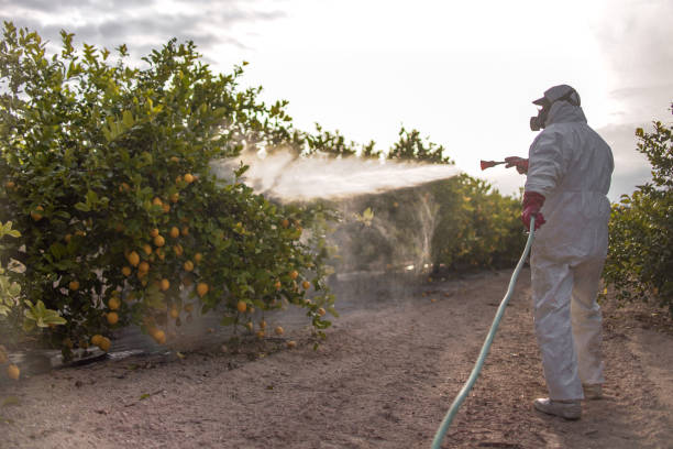 Best Cockroach Control Services  in Pelican Bay, TX