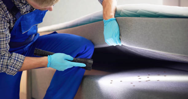 Best Local Pest Control Services  in Pelican Bay, TX