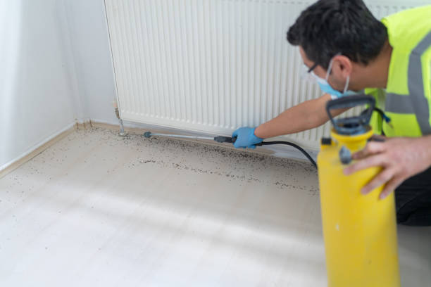 Best Exterminator Services  in Pelican Bay, TX